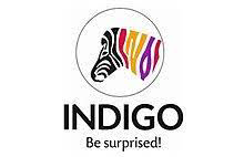 INDIGO_BE_SURPRISED